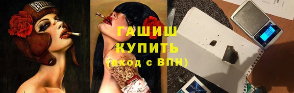 шишки Абаза