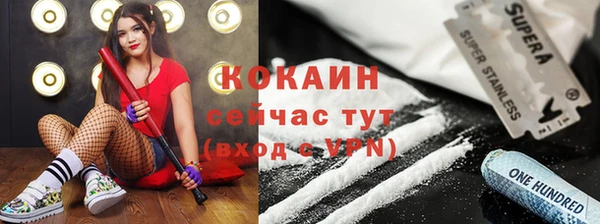 ECSTASY Покров
