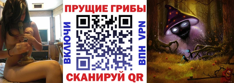 Галлюциногенные грибы Psilocybe  это телеграм  Звенигород 
